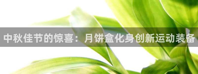 耀世小说全文免费阅读：中秋佳节的惊喜：月饼盒化身创新