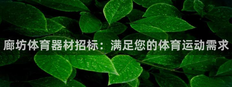 耀世娱乐官网网站下载：廊坊体育器材招标：满足您的体育