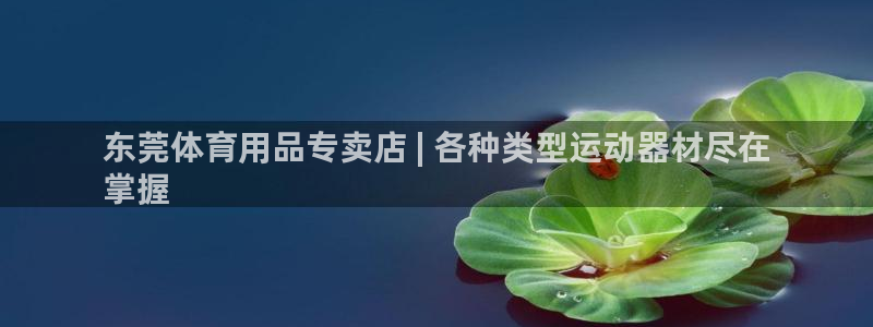 耀世娱乐是玛雅旗下的吗知乎:东莞体育用品专卖店 | 各种类型