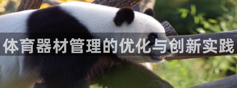 耀世娱乐几年了?:体育器材管理的优化与创新实践