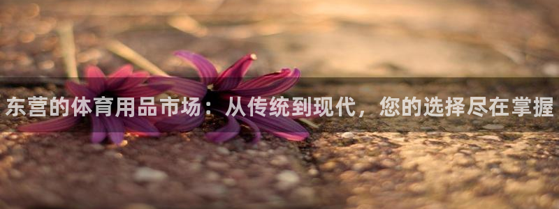 耀世平台app下载:东营的体育用品市场:从传统到现代,您的选